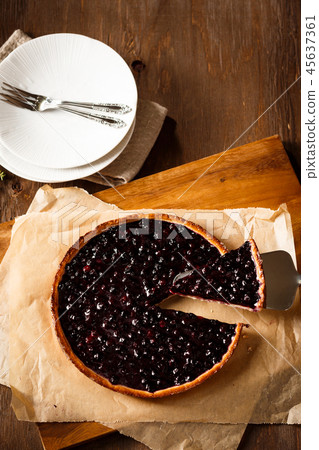 Blueberry pie 45637361