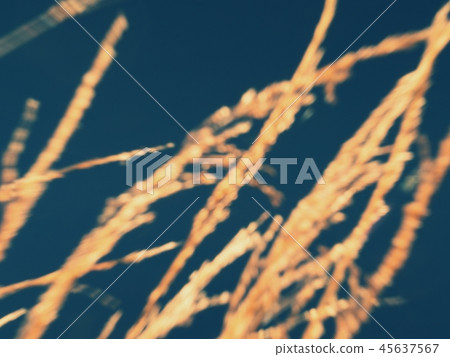 Reeds in blurred movement picture for background. Reeds in blurred movement picture for background. 45637567