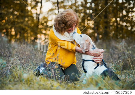 A senior woman with a dog in an autumn nature at sunset. A senior woman with a dog in an autumn nature at sunset. 45637599
