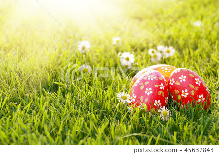 Easter eggs lying on green spring grass Easter eggs lying on green spring grass 45637843