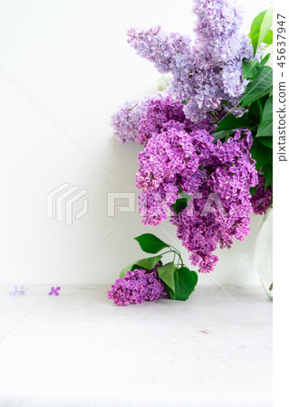 Fresh lilac flowers 45637947