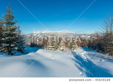 Winter morning Carpathian mountains, Ukraine 45639189