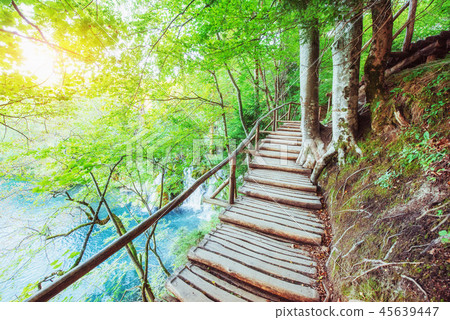 Wooden laying on blue water. Plitvice lakes Croatia Wooden laying on blue water. Plitvice lakes Croatia 45639447