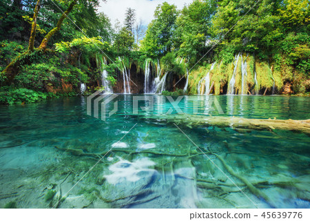 A photo of fishes swimming in a lake, taken in the national park Plitvice, Croatia 45639776