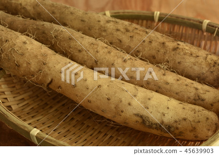 新鮮的牡蠣蘑菇 45639903