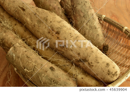 Fresh oyster mushroom Fresh oyster mushroom 45639904