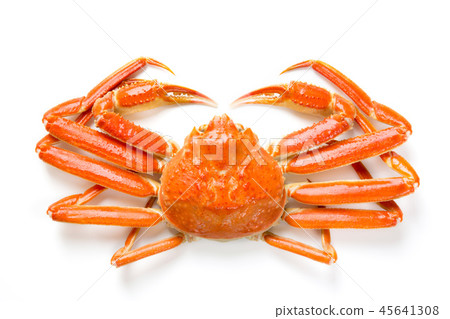 雪蟹 45641308
