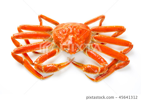 Snow crab Snow crab 45641312