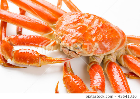 雪蟹 45641316