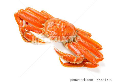 雪蟹 45641320