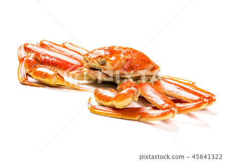 Snow crab Snow crab 45641322