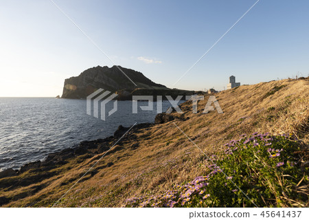 Jeju Island Travel Jeju Island Travel 45641437