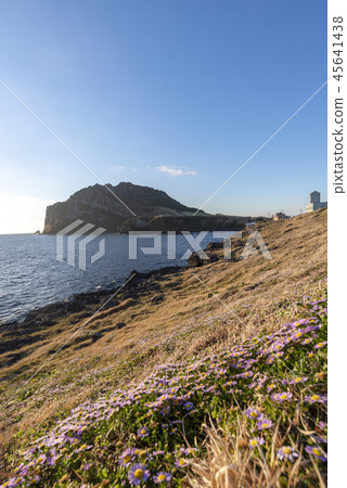 濟州島旅遊 45641438