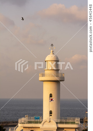 Jeju Island Travel 45641448