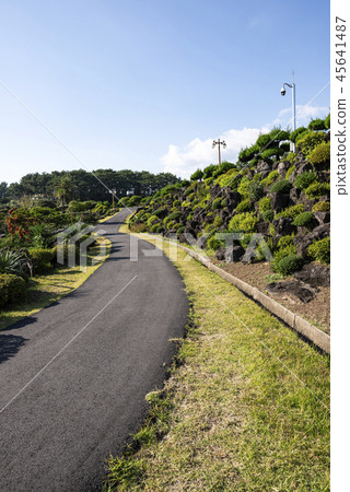 Jeju Island Travel Jeju Island Travel 45641487
