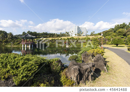 Jeju Island Travel Jeju Island Travel 45641488