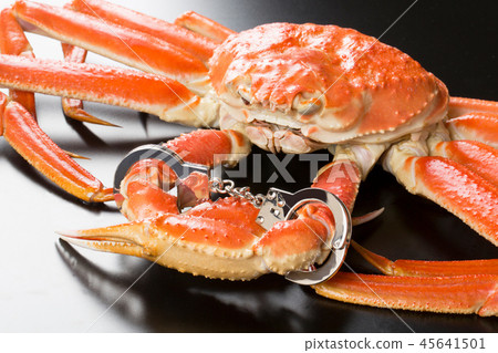戴著手銬的雪蟹 45641501