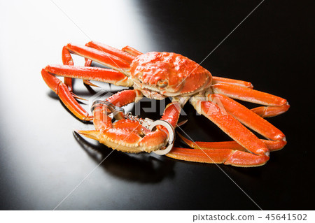 戴著手銬的雪蟹 45641502