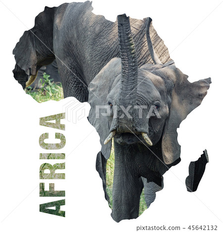 Baby elephant with trunk up and africa continent outline Baby elephant with trunk up and africa continent outline 45642132