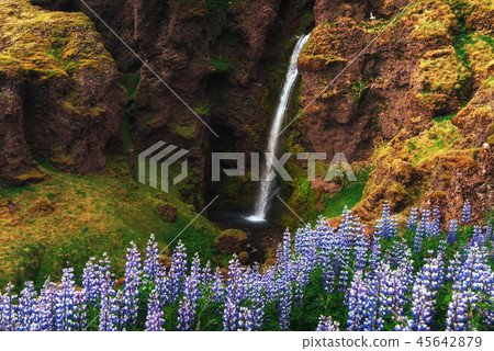 Great waterfall Skogafoss in south of Iceland near the town Skogar Great waterfall Skogafoss in south of Iceland near the town Skogar 45642879