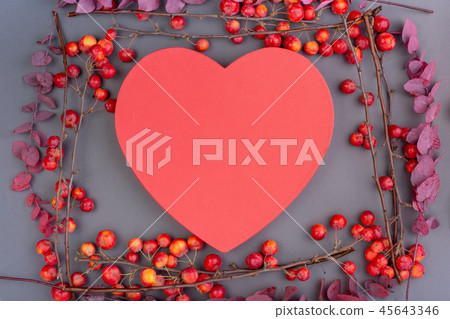 Blossoming apple tree branches with decorative red heart on gray background. Copy space. Valentine's Blossoming apple tree branches with decorative red heart on gray background. Copy space. Valentine's 45643346