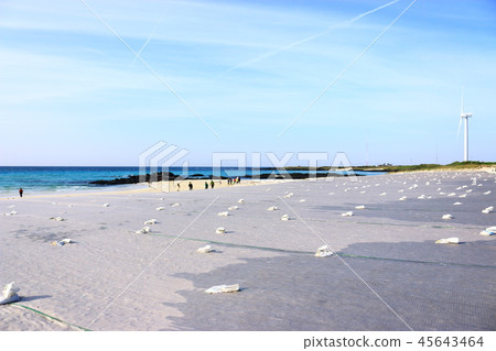 Gimnyeong海灘,海灘,天空 Gimnyeong海灘,海灘,天空 45643464