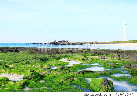 Gimnyeong海灘，海灘，天空白色沙子，海草 45643574
