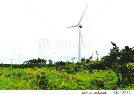 風力發電機,農村,能源 風力發電機,農村,能源 45643775
