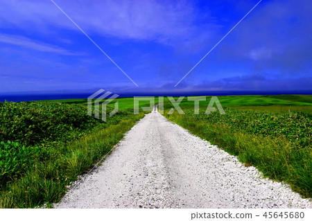 殼的大豆小山白色路 45645680