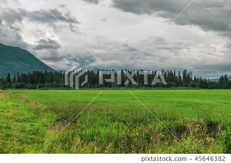 Scenic summer landscape in Northern Norway 45646382