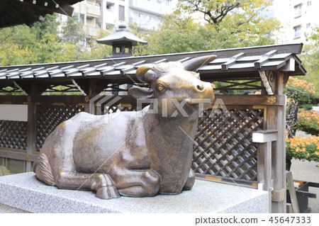 Yushima Tenjin煮熟的牛肉（Nade Ushi）東京都Bunkyo-ku 45647333
