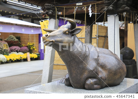 Yushima Tenjin煮熟的牛肉（Nade Ushi）東京都Bunkyo-ku 45647341