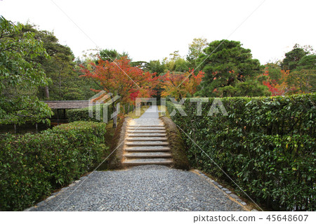 Katsura皇宮Miyukido Dobashi秋葉 45648607