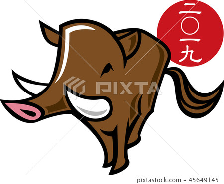 boar boar 45649145