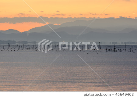 琵琶湖的Eri早晨 琵琶湖的Eri早晨 45649408