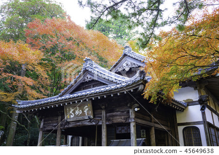 Raizan Sengenji寺Daisyoin沾滿了秋天的顏色 45649638