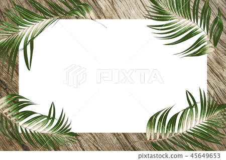 green tropical palm leaves frame background 45649653