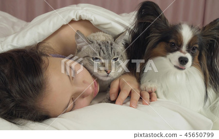 Beautiful teen girl sleeping sweetly in bed with dog and cat 45650799