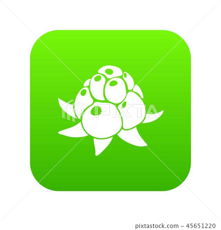 Wild raspberry icon green vector-插圖素材 [45651220] - PIXTA圖庫