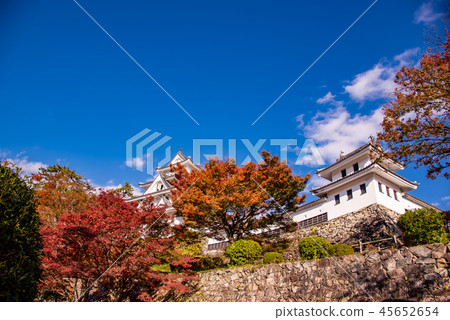 Fall Gujo Hachiman Castle Fall leaves and castle (Gifu City, Gifu Prefecture) 45652654