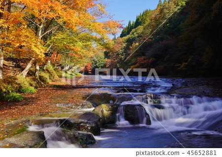 Autumn of Aso Yusui nature forest Autumn of Aso Yusui nature forest 45652881