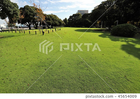 "Yamashita Park" that shines green "Yamashita Park" that shines green 45654009