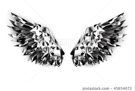 Black mirror wings 45654072