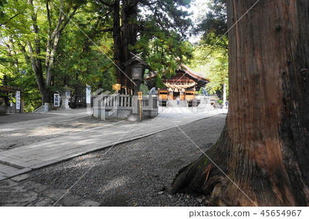 Suwa Taisha Shimosha Akimiya Shigaraki Hall 45654967