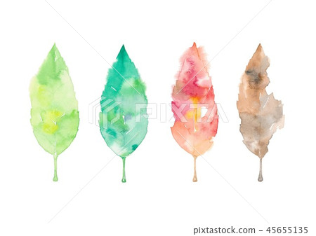 Spring, Summer, Fall, Winter, Deciduous Leaf Spring, Summer, Fall, Winter, Deciduous Leaf 45655135