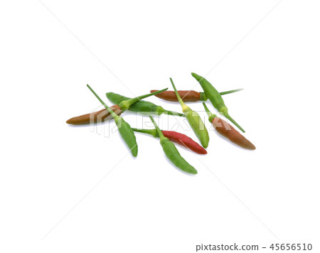 The Thai red and green guinea pepper 45656510