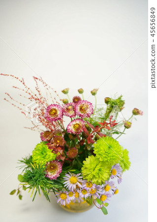 Image of Kochia flower in a vase