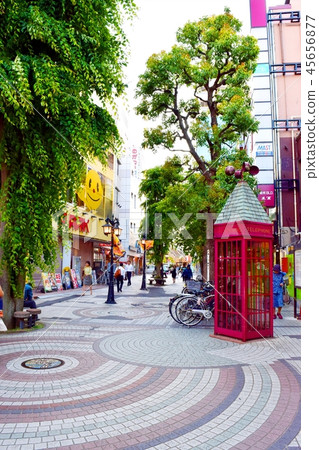 Tree Mall（埼玉縣川口市） 45656877