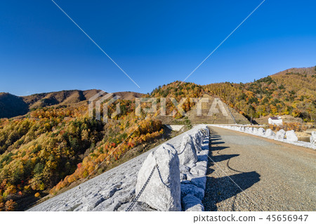  Minami Aoki Dam Autumn leaves 45656947
