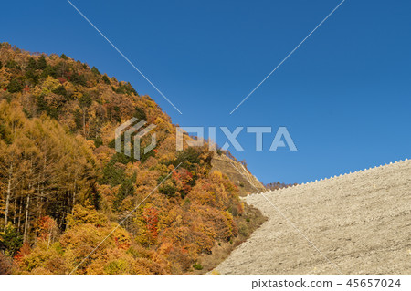  Minami Aoki Dam Autumn leaves 45657024